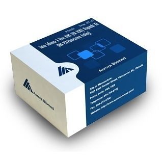 Реактив в растворе - AB MagPure - Aurora Instruments - сыворотка для свиней / для ОТ-ПЦР / для извлечения РНК