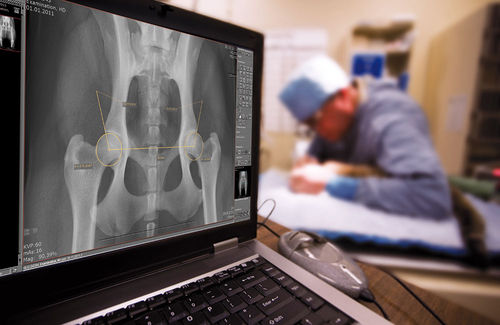 Программное обеспечение для управления - dicomPACS® vet Basic  - OR Technology - Oehm und Rehbein - для ветеринарной радиографии