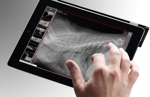 Веб-приложение для диагностики - dicomPACS® vet MobileView - OR Technology - Oehm und Rehbein - медицинское / для ветеринарной визуализации / с данными из интернета