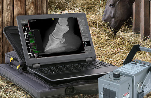 Модуль программного обеспечения для анализа - dicomPACS® vet - OR Technology - Oehm und Rehbein - для рентгенологии / ветеринарный
