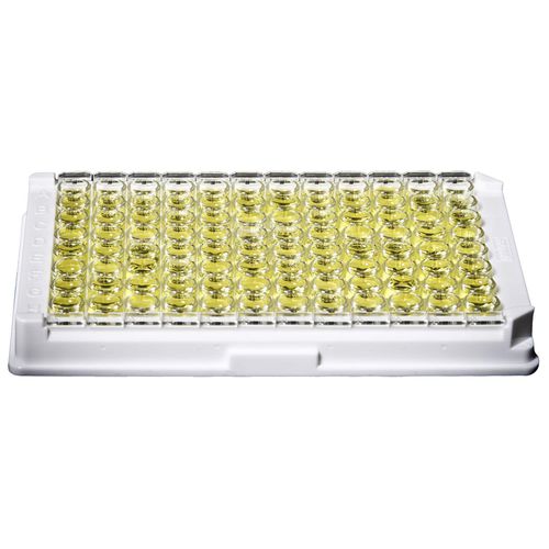 Набор для теста на аутоиммунные заболевания - FIDIS™ - Gold Standard Diagnostics - на васкулит / на АНЦА / с помощью иммуноанализа