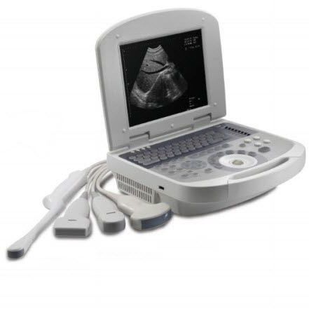 Переносной ультразвуковой сканер - Dolphi pro    - Meditech Equipment - для поливалентной эхографии / черно-белый / со встроенной консолью