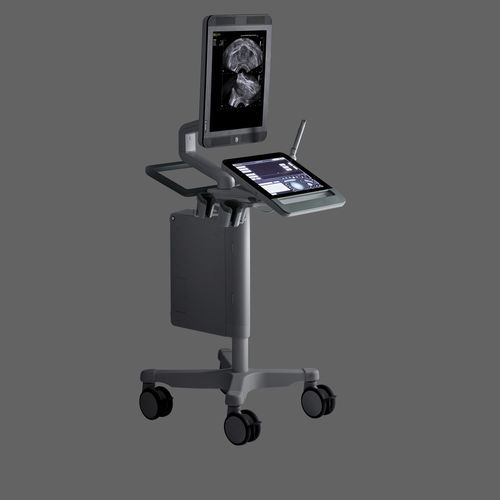 Ультразвуковой сканер на платформе, компактный - bkSpecto - BK Ultrasound - для урологической эхографии / черно-белый / сенсорный экран