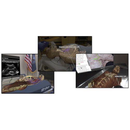 Учебный модуль моделирования - VH Dissector - Touch of Life Technologies (ToLTech) - анатомический / хирургический / на основе дополненной реальности
