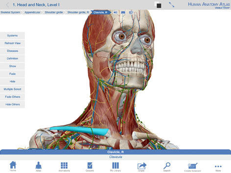 Анатомическое приложение iOS - Human Anatomy Atlas - Visible Body - учебное / для диагностики / для захвата изображений
