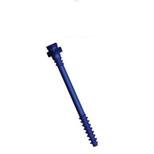 Компрессирующий винт для кости для грудо-поясничной зоны - Facet - Precision Spine - канюлированный / из титана