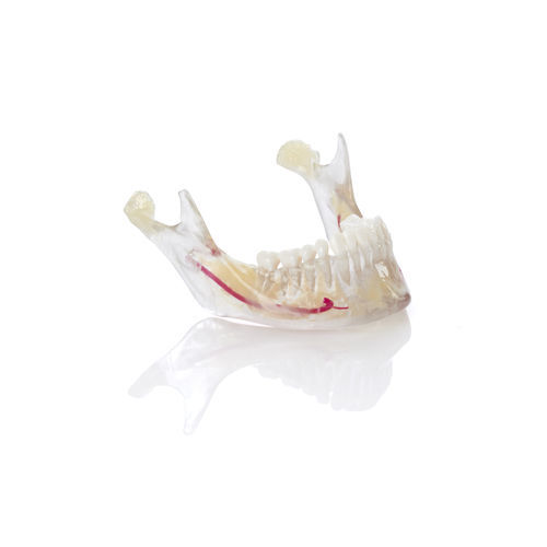 Стоматологический материал из полимера - VeroDent PureWhite DEN847™ - Stratasys - ортодонтический / для 3D-печати / для моделирования