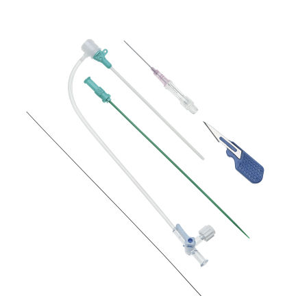 Радиальный интродьюсер - DXQ series - Demax Medical Technology - бедренный / гидрофильный