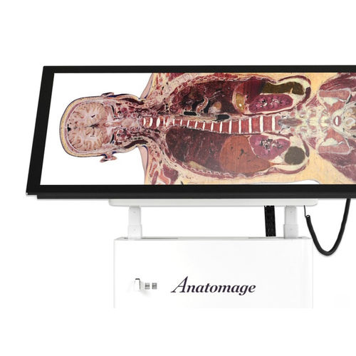 Анатомический стол для обучения - Alpha - Anatomage - для виртуального рассечения / прямоугольный