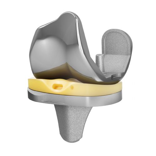 Коленный протез с 3 отсеками - EMPOWR CR® - Trilliant Surgical - с фиксированным вкладышем