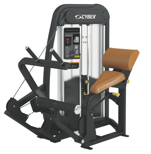 Спортивный тренажер растягивание мышц спины - Eagle NX - Cybex