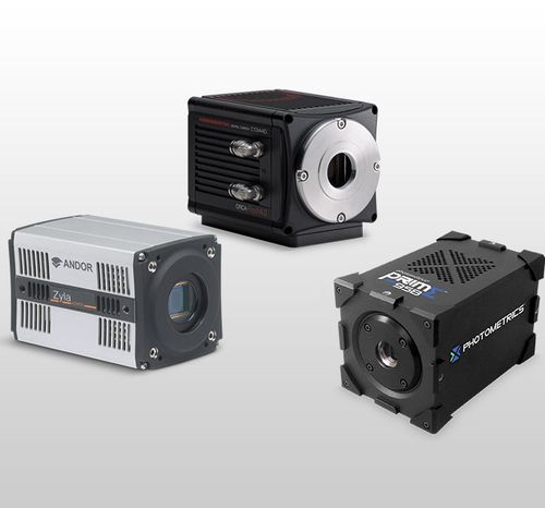 Камера для микроскопов - sCMOS - Evident - Olympus Scientific Solutions - цифровая / CMOS / sCMOS