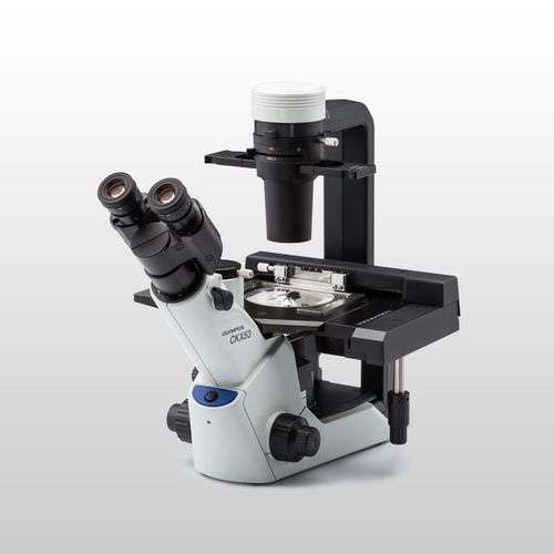 Инвертированный микроскоп - CKX53 - Evident - Olympus Scientific Solutions - оптический / для лабораторий / для исследований