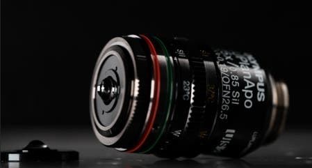 Объектив микроскопа для медико-биологических наук - LUPLAPO25XS - Evident - Olympus Scientific Solutions - для лабораторий
