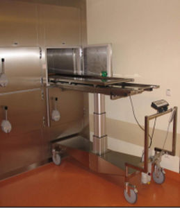 Ячейка для трупа для носилок для трупов - MA-1100 - MEDIS Medical Technology - 2 тела / с фронтальной загрузкой / 2 дверцы