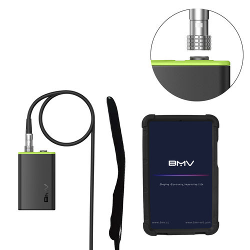 Портативный ветеринарный ультразвуковой сканер - BestScan® S7 Endocavitary Vet - BMV - многоцелевой / для небольших животных / для крупных животных