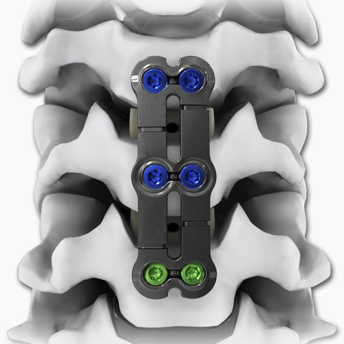 Костная пластина для артродеза шеи - KINETIC®-SL - Life Spine - блокируемая / металлическая / 2 уровня