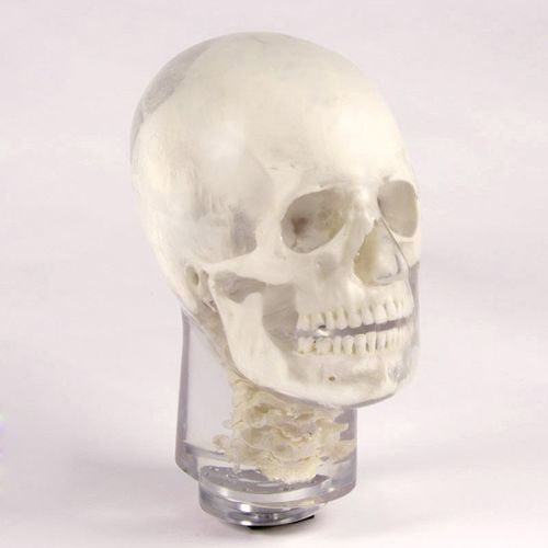 Тест-фантом для радиографии - 12702 - QUART X-Ray QA Solutions - головы