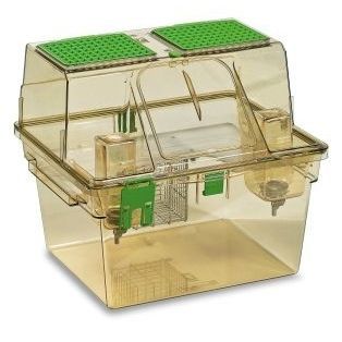 Вентилируемая клетка для исследований на животных - GR1800 - Tecniplast - для мелких грызунов / модульная / два уровня