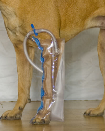Ветеринарная шина для лап - Thera-Paw - для собак / надувная