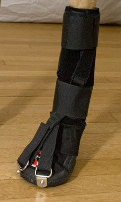 Ветеринарная шина для лап - Forelimb Dorsi-Flex Assist - Thera-Paw - для собак