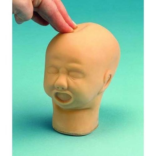 Анатомическая модель головы - ZKK-240-K - Educational + Scientific Products Ltd - для пальпации / эмбрион / гибкая