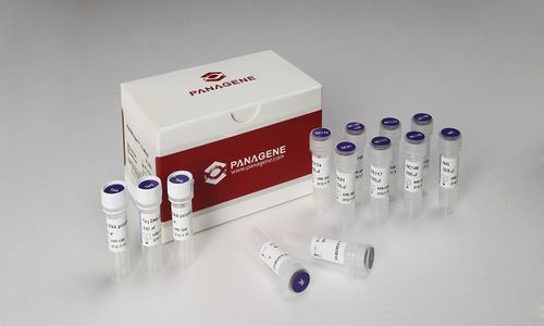 Реактив в растворе - PNAR-2001 - Panagene Inc. - на раковые опухоли / жидкость / для мутации гена NRAS