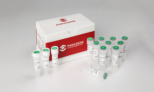 Реактив в растворе - PNAR-1001 - Panagene Inc. - на раковые опухоли / жидкость / на мутации гена KRAS