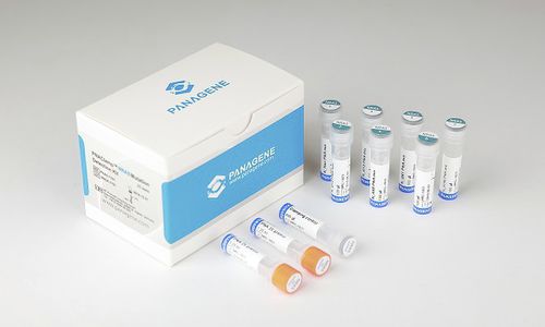 Набор для теста на раковые опухоли - PNACIamp™ - Panagene Inc. - для онкологии / для мутации гена NRAS / ткани