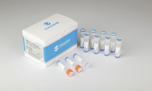 Набор для теста на рак легких - PNACIamp™ - Panagene Inc. - для онкологии / на мутации гена EGFR / ткани