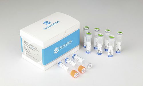 Набор для теста на раковые опухоли - PNACIamp™ - Panagene Inc. - для онкологии / на мутации гена KRAS / свинцовый