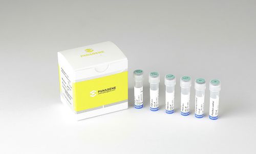 Набор для теста на раковые опухоли - PNACIamp™ - Panagene Inc. - для онкологии / для тканей FFPE / для RT-PCR