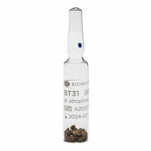 Биодиндикатор для стерилизации - BT31 - Terragene SRL - медицинский