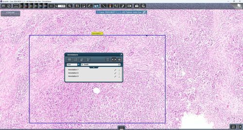 Медицинское программное обеспечение - ClinicalViewer - 3DHISTECH Ltd. - для больниц / клиническое / для телеконсультаций
