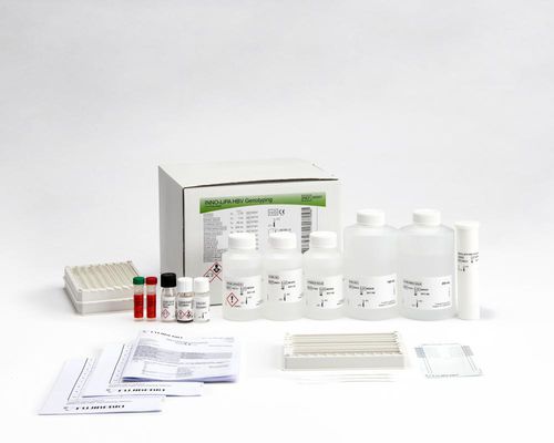 Набор для теста гепатит В - INNO-LiPA® - Fujirebio - VHB / автоматизированный / полоска