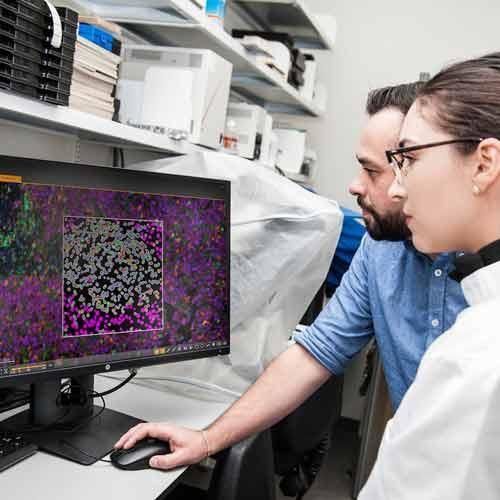 Программное обеспечение для исследований - HALO® - Leica Biosystems - для учреждений здравоохранения / для фармацевтической промышленности / для гистологической лаборатории