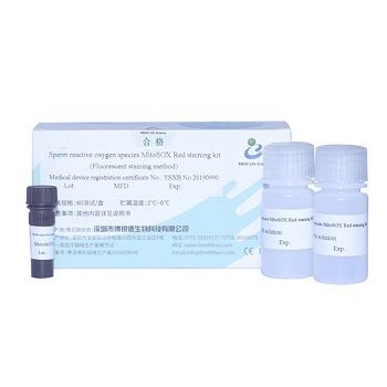 Набор реактивов красящий раствор - MitoSOX  - Bred Life Science Technology Inc . - для анализа спермы