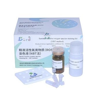 Набор реактивов красящий раствор - NBT  - Bred Life Science Technology Inc . - для анализа спермы