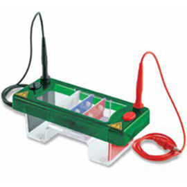 Камера для электрофореза для PCR - EHS1 series - Consort - горизонтальная