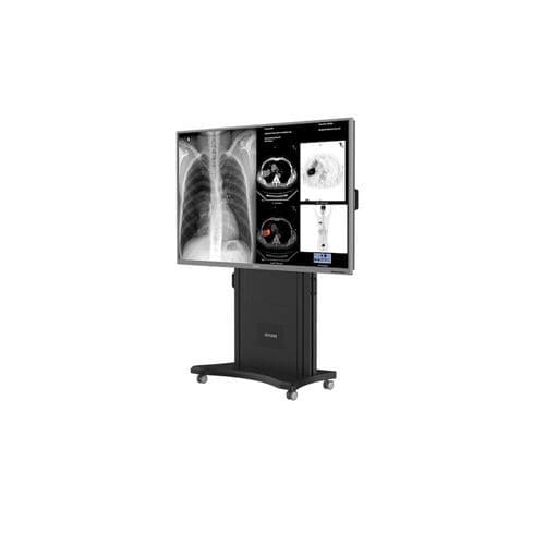 Монитор для медицинских снимков - S8420S - Nanjing Jusha Display Technology - 3840×2160 / переносной / дистанционный