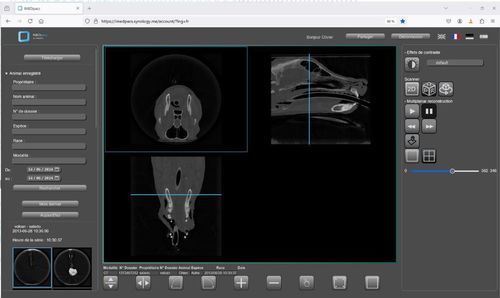 Ветеринарное программное обеспечение - IMEDpacs - Imedsys - для визуализации / 3D / 2D