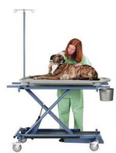 Ветеринарный диагностический стол - Versa-Lift - Olympic Veterinary - электрический / с регулируемой высотой / на роликах