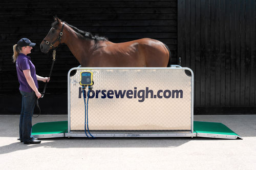 Электронный ветеринарные весы - Olympic - Horse Weigh - для лошадей / платформа / с мобильным билбордом