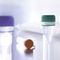 реактив для ветеринарной лабораторииvirotype Influenza A Positive ControlINDICAL BIOSCIENCE GmbH