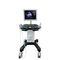 ультразвуковой сканер переносной, с тележкойDW-750Dawei Medical