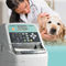 автоматический иммуноанализаторAU10VFUJIFILM Healthcare