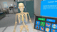 анатомическая платформа виртуальной реальности / иммерсивная / 3D / VR