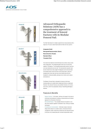 Modular Femoral System