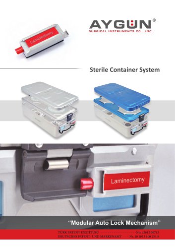 Auto Lock Mechanism