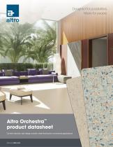 Altro Orchestra